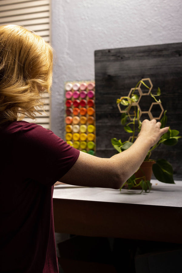 Honeycomb Trellis