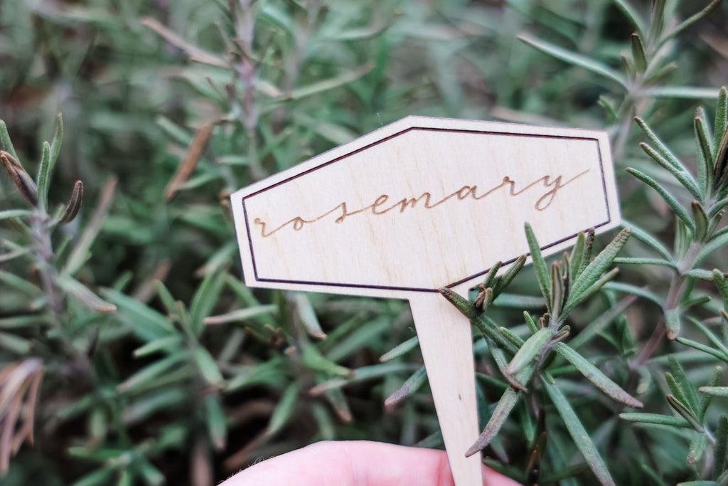 Engraved Smashed Hexagon Plant Marker