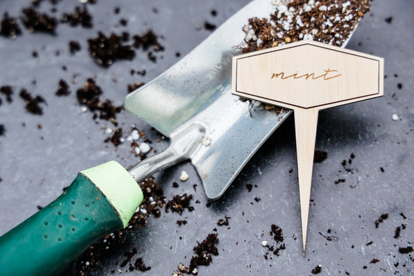 Engraved Smashed Hexagon Plant Marker