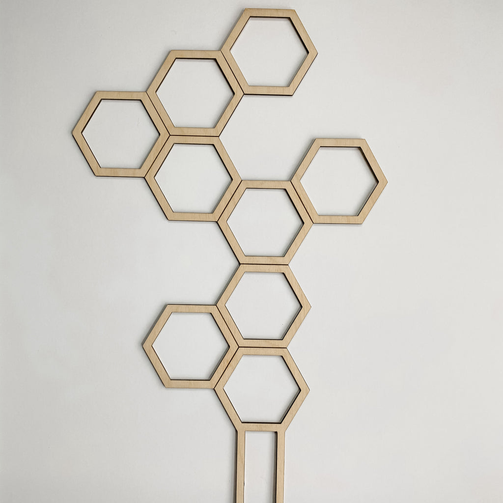 Honeycomb Trellis